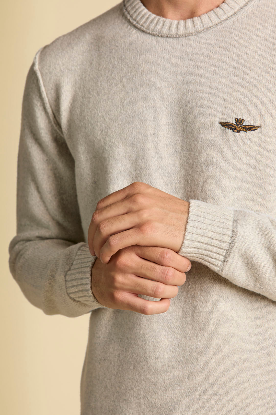 AERONAUTICA MILITARE
MAGLIA GIROCOLLO IN LANA TINTO FILO MA1608UL00924