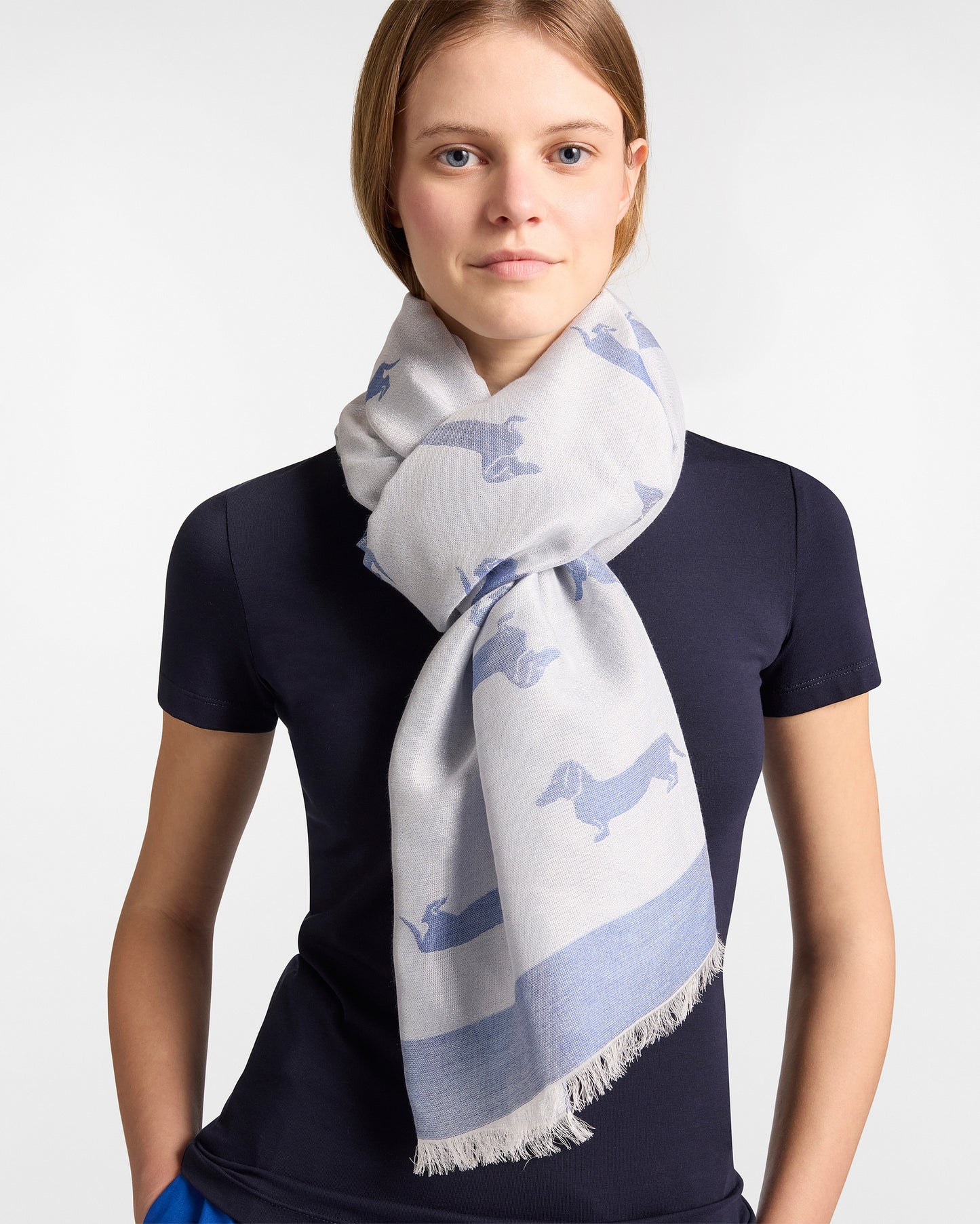 HARMONT&BLAINE
SCIARPA LEGGERA CON BASSOTTI ALL OVER S0PD01 082808