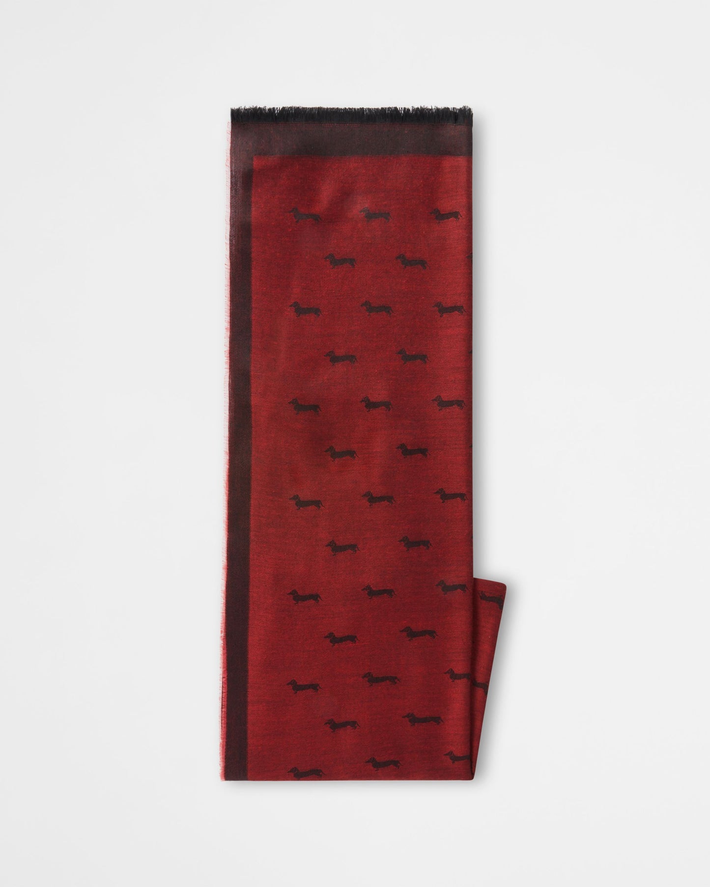 HARMONT&BLAINE
PASHMINA CON BASSOTTO ALL OVER S0P166 082790