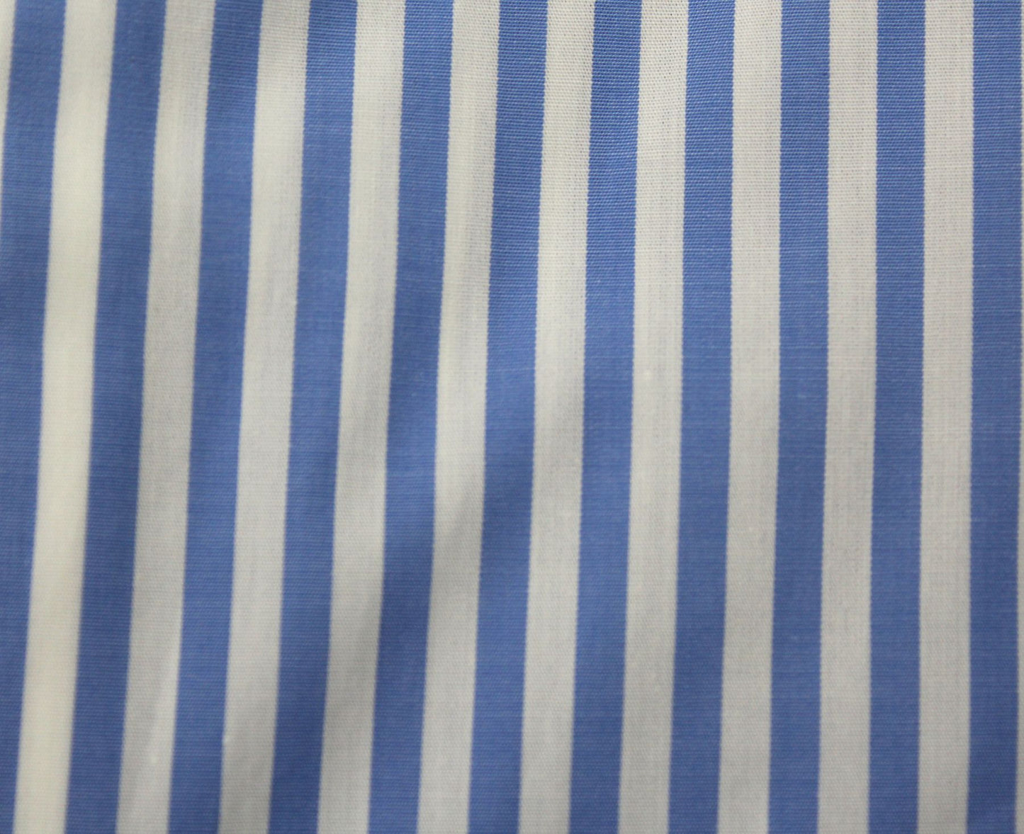 SINI 
CAMICIA IN COTONE REGULAR-MB69