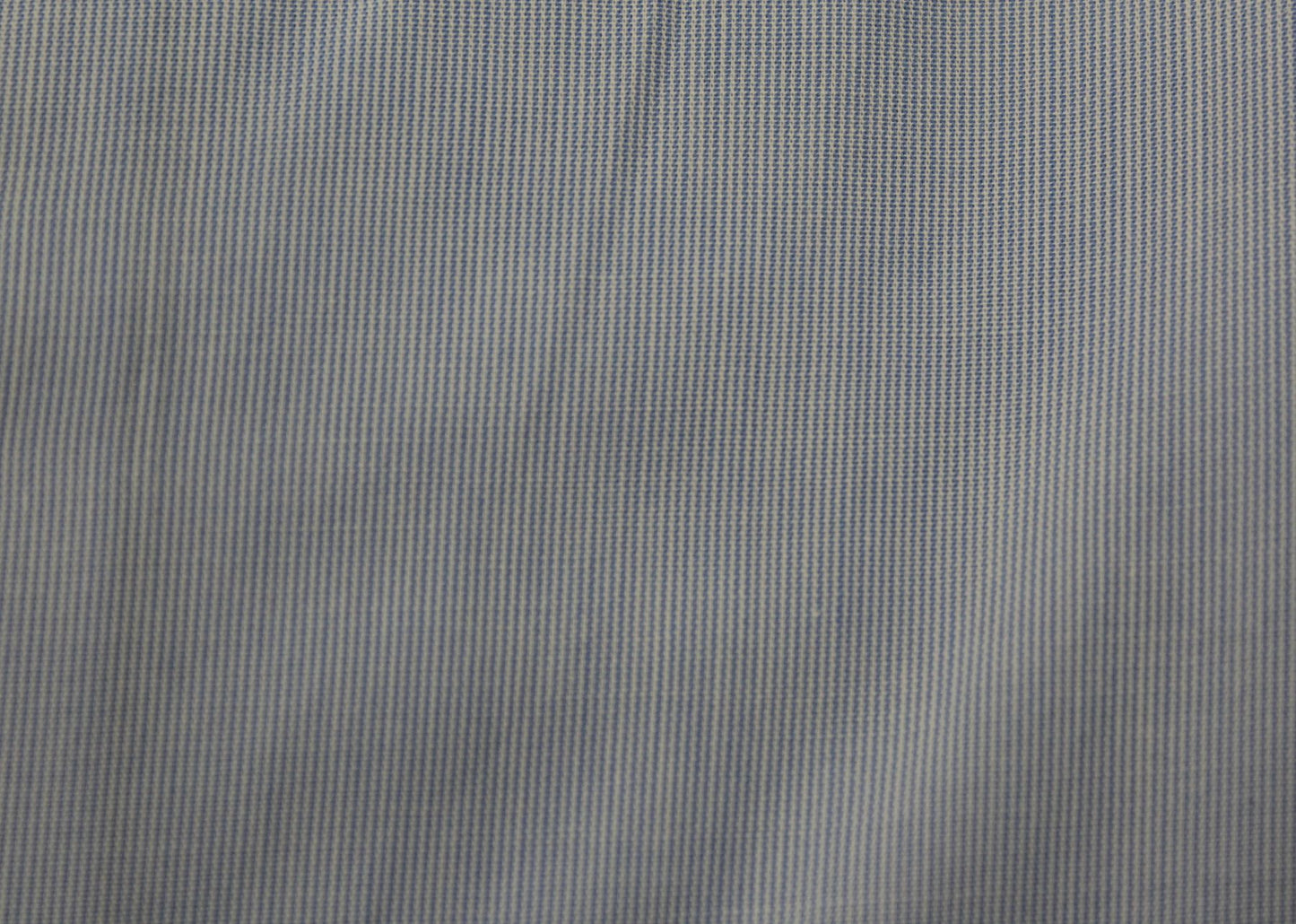 SINI 
CAMICIA IN COTONE REGULAR-MB69
